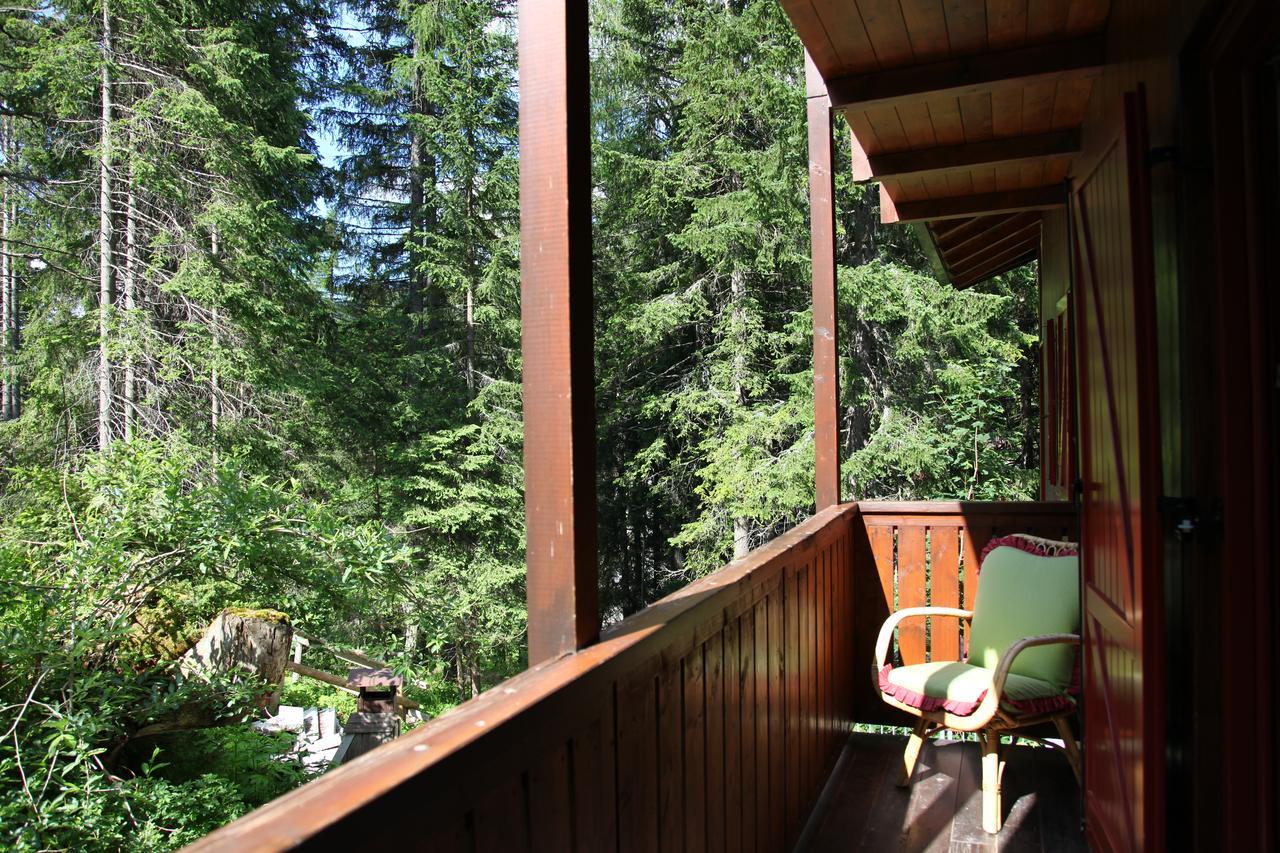 Chalet Dei Pini Aparthotel Madonna di Campiglio Exterior photo